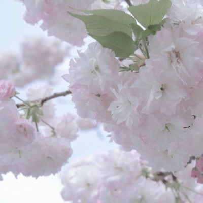 兽设冰川场景绘制FurryQQ群